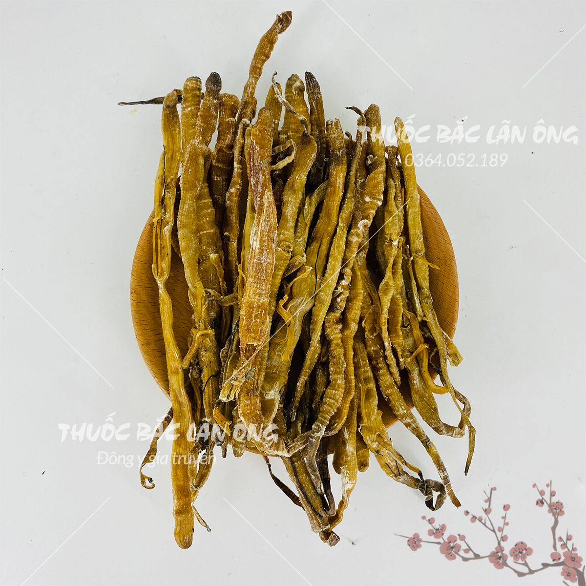 Sá sùng quảng ninh 100g (Nấu nước dùng phở siêu ngọt, hàng khô sạch cát, to, dài ) - Thuốc bắc lãn ông