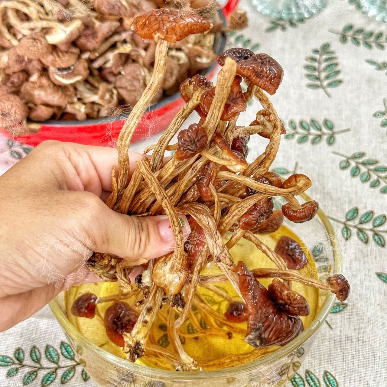 Nấm Chè Sấy Khô (Nấm Trà Tân Khô) - Túi 100gr