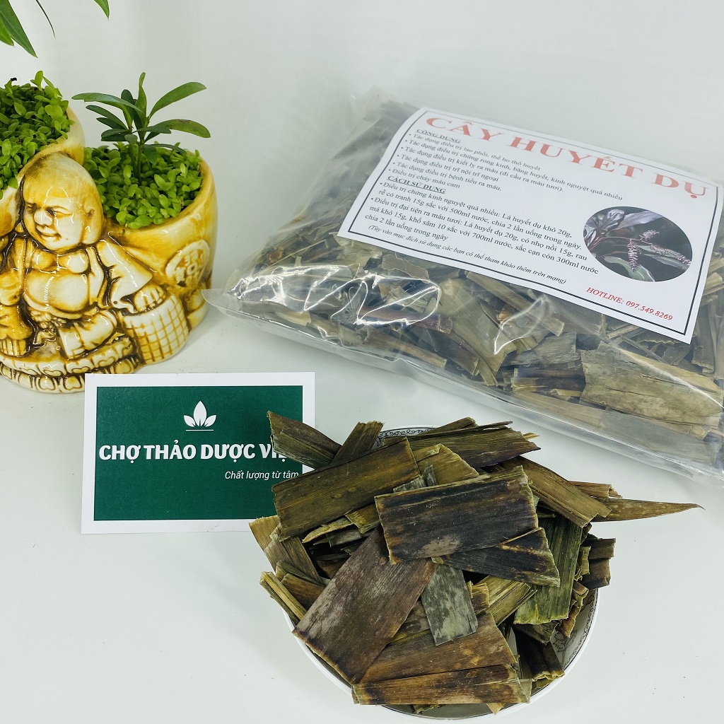 Dried Blood Leaf 500g, Helps Regulate Menstruation, Nourishes Blood, Reduces Bone and Joint Pain