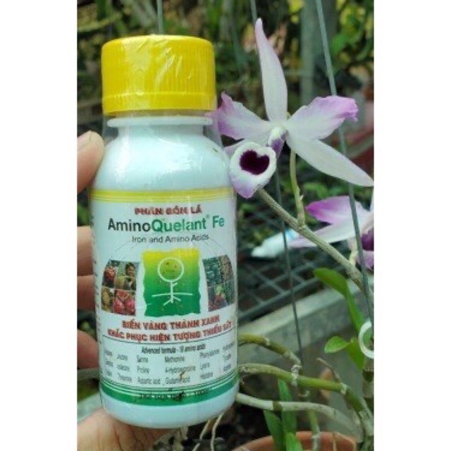 Phân bón Combo 3 trị vàng lá-đốm lá