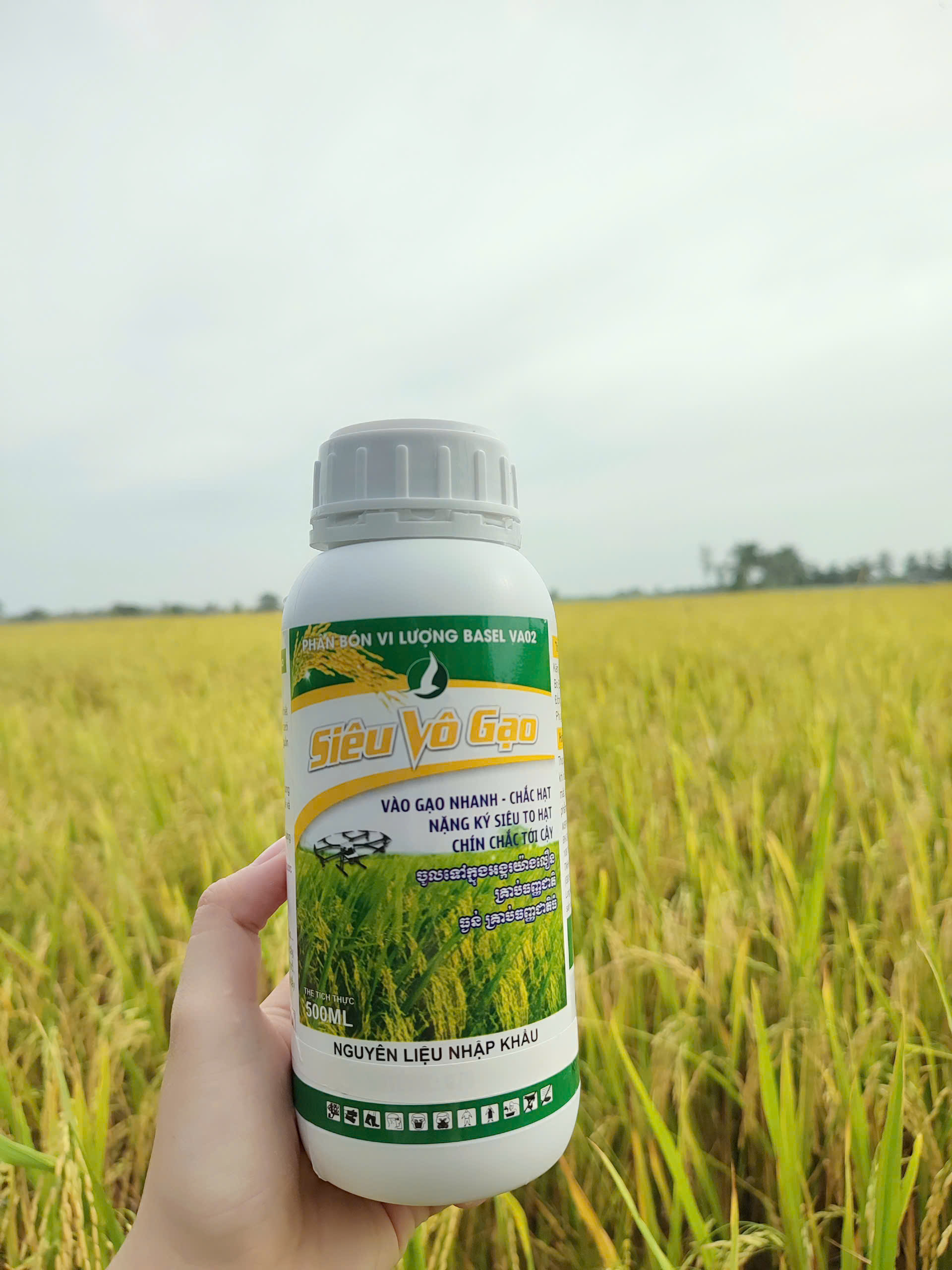 PHÂN BÓN CHUYÊN LÚA- siêu to hạt, chắc hạt, vô gạo nhanh (siêu vô gạo 500ml)