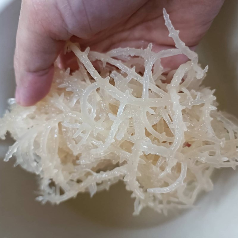 Rong Sụn Trắng Khô 1000 gram ( Rong Biển, Rong Sụn Gai )
