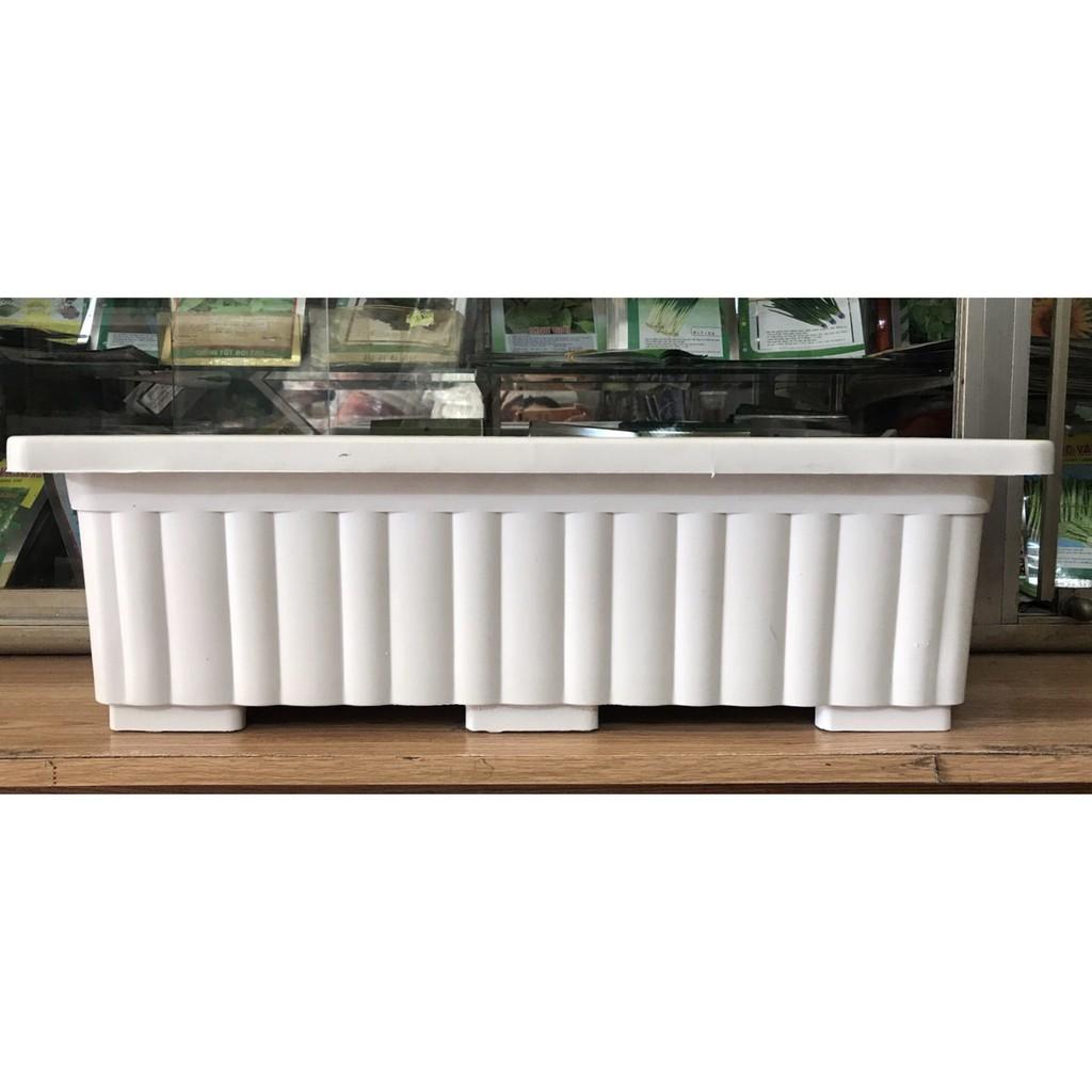 [HCM]chậu trồng rau hoa kiểng  dài 63.5cm Rộng 22cm Cao 19cm chậu trồng hoa