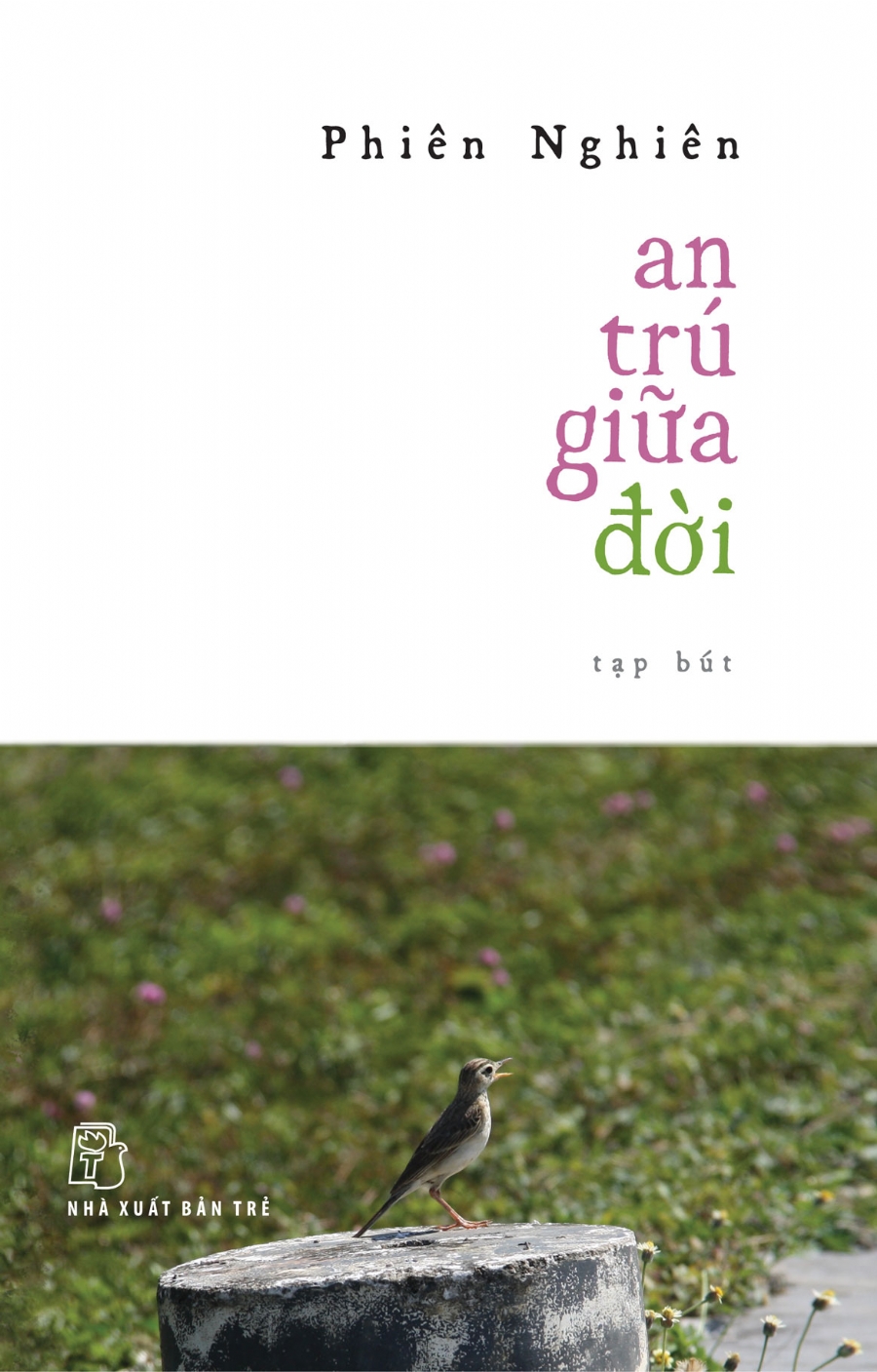 Sách NXB Trẻ - AN TRÚ GIỮA ĐỜI