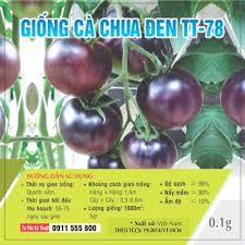 Cà chua đen siêu hot- hạt giống cà chua đen: 20k/gói 10 hạt