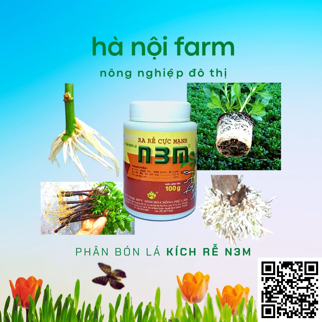 N3M kích ra rễ, N3M bột 100g