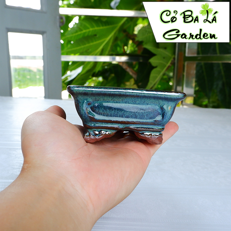 chậu bonsai mini hình chữ nhật có chân