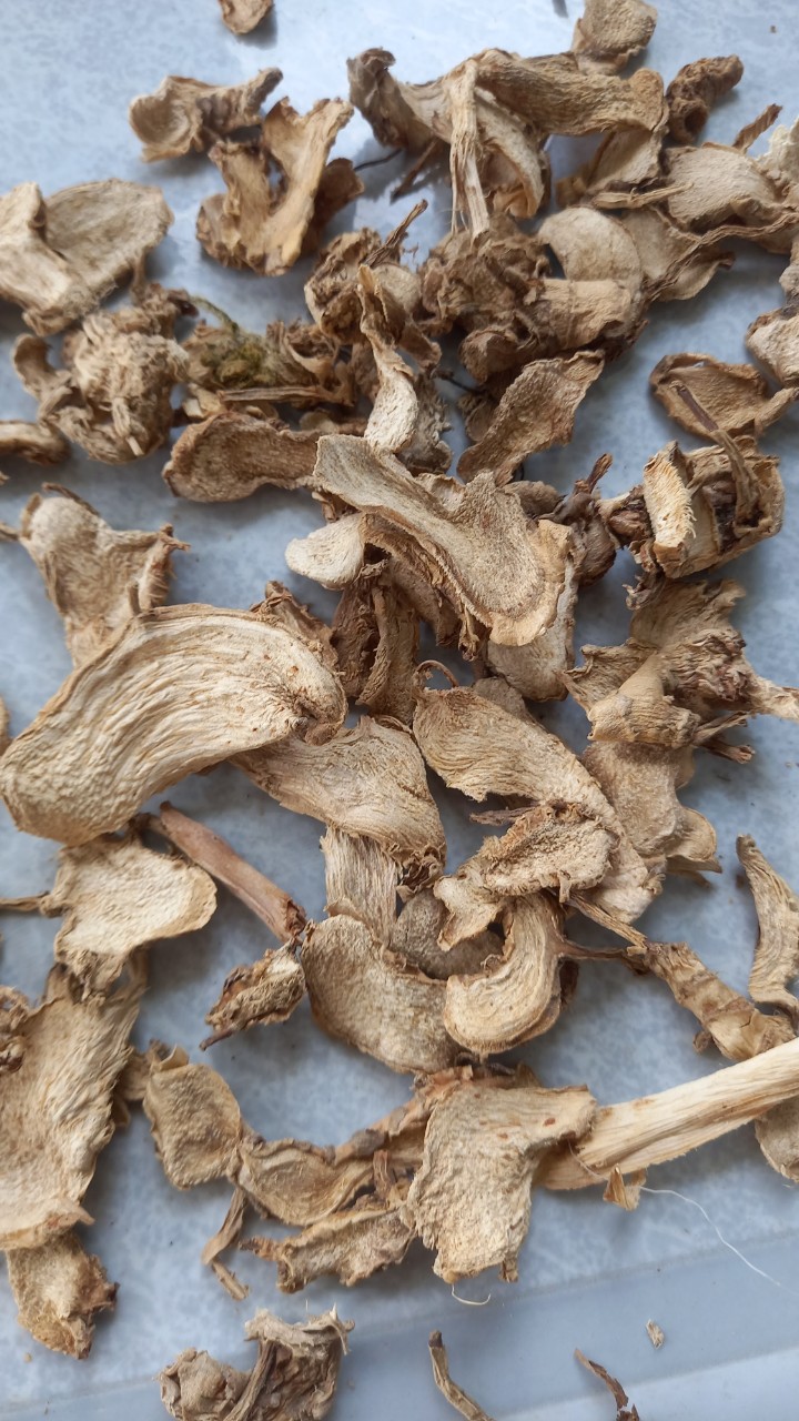 Củ gừng gió lac  kho 500g