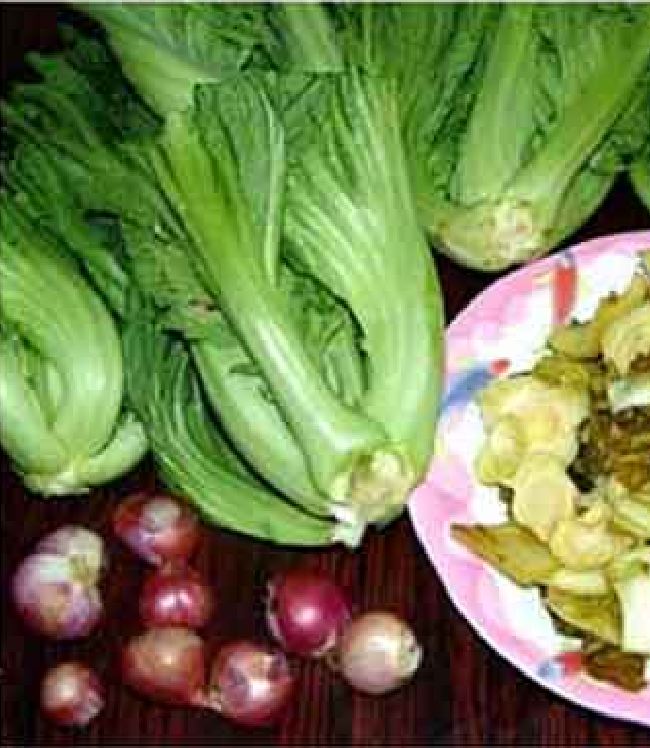 COMBO 2 gói hạt giống cải bẹ dưa TẶNG 1 phân bón