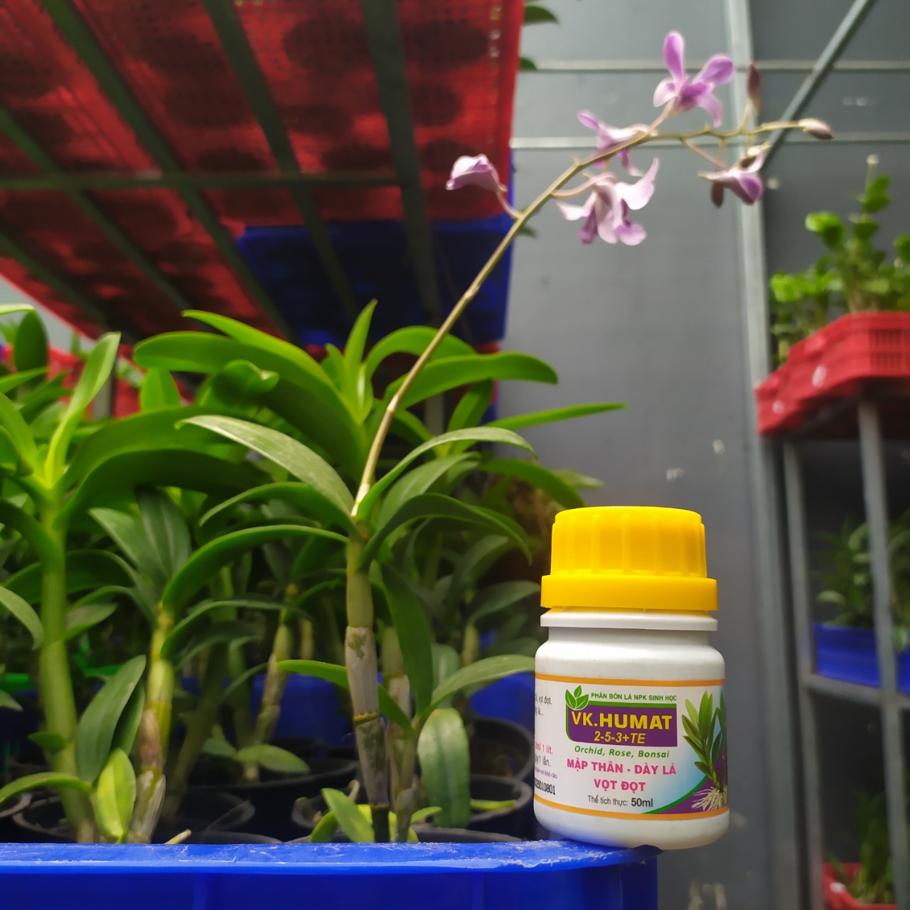 Mập Thân - Dày Lá - Vọt Đọt VK Humat 50g