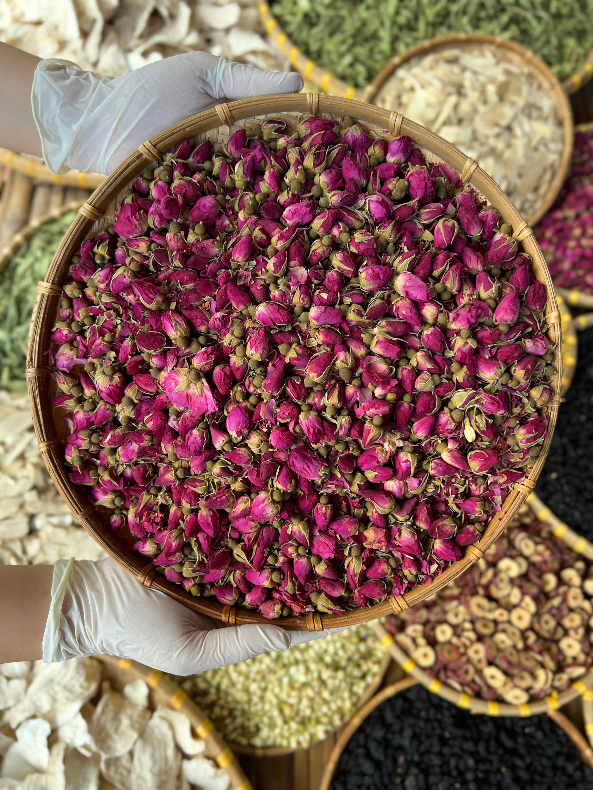 Trà sâm tố nữ Thuận Thiên shop