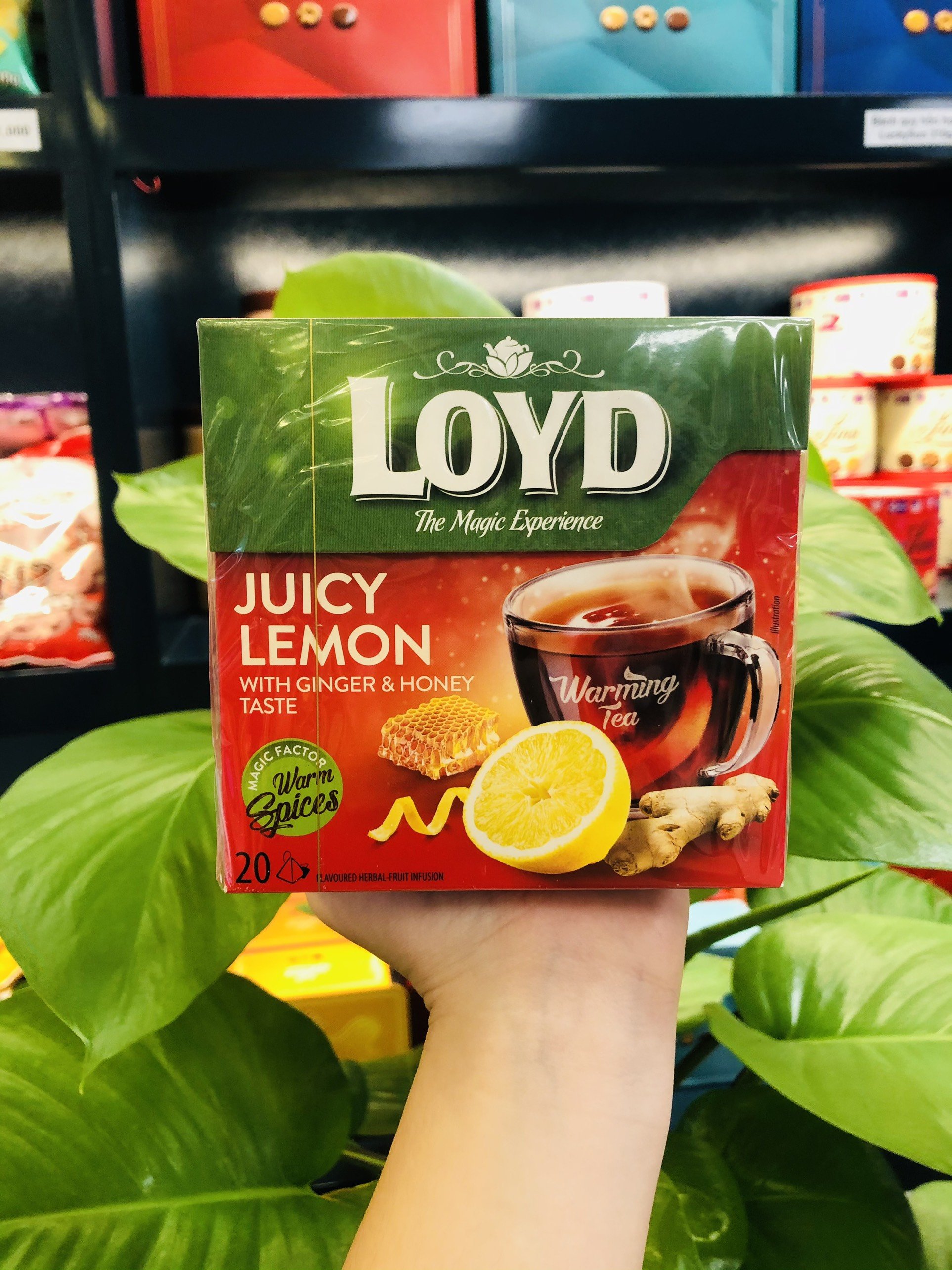 TRÀ LOYD DATE T3/4-2024