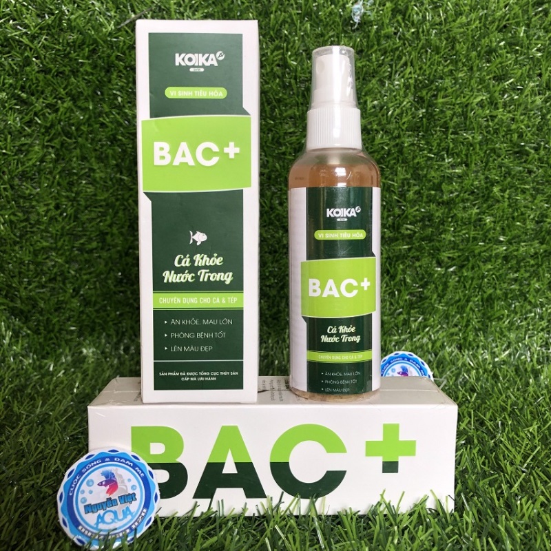 Vi sinh Bac+ , Men Vi Sinh KOIKA BAC+, Men Vi Sinh Tiêu Hoá chuyên dùng cho cá và tép cảnh