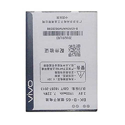 Pin Vivo Y21