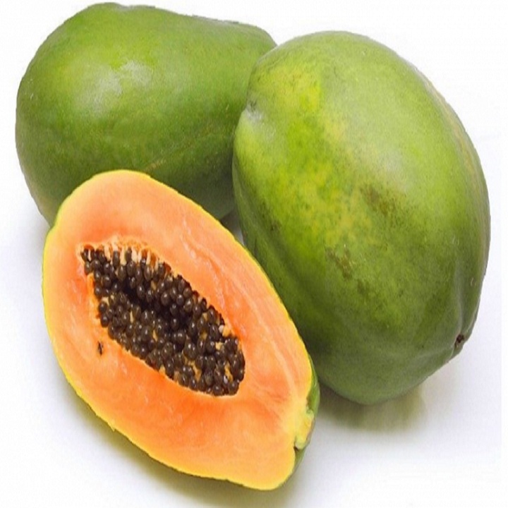 CÂY GIỐNG ĐU ĐỦ LÙN SIÊU NGỌT ( COMBO 5 Cây)