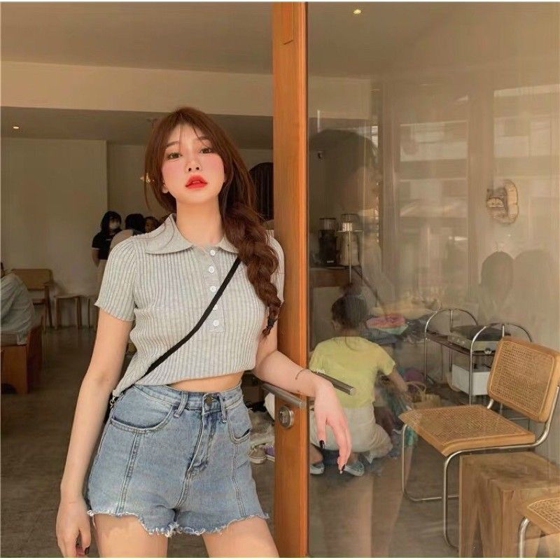 áo len mông cộc tay cổ bẻ hàng khuy 5 (cúc) hot hit