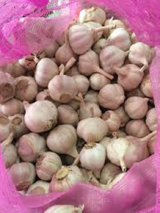 Combo 1 kg hành và 1 kg tỏi Ninh Thuận ( củ to)