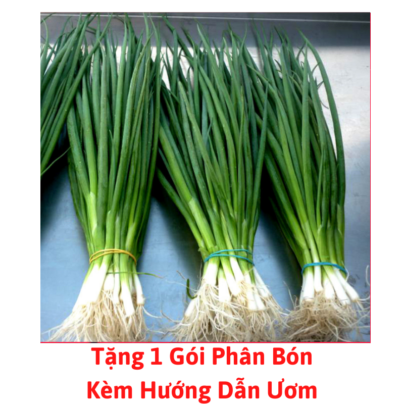 [Lấy mã giảm thêm 30%] Gói Hạt Giống Hành Hương Xanh
