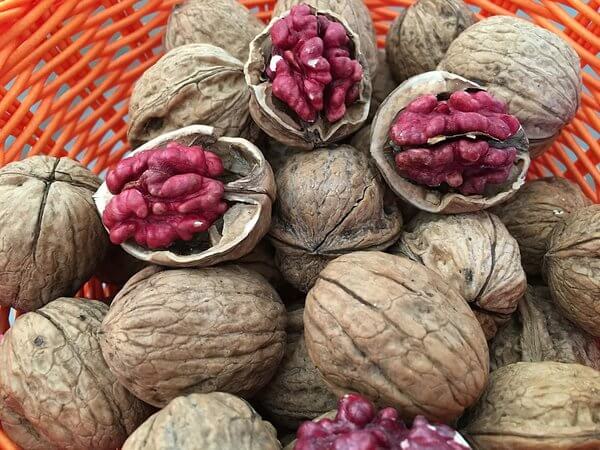 500g Óc chó đỏ Mỹ