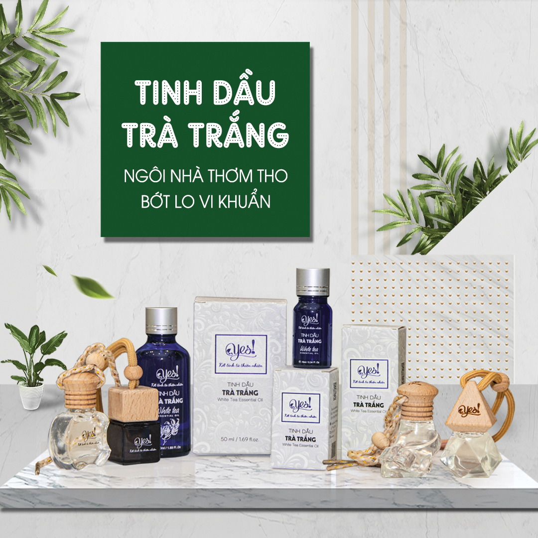 TINH DẦU TRÀ TRẮNG YES! ( WHITE TEA ESSENTIAL OIL )