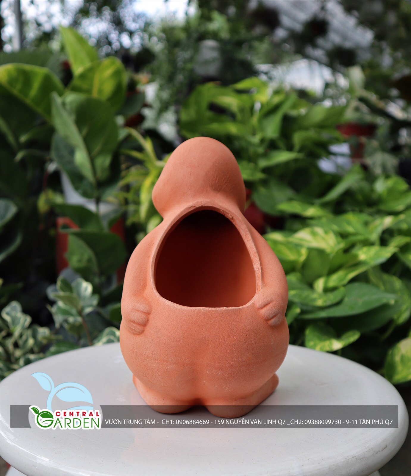 Chậu đất nung chó con