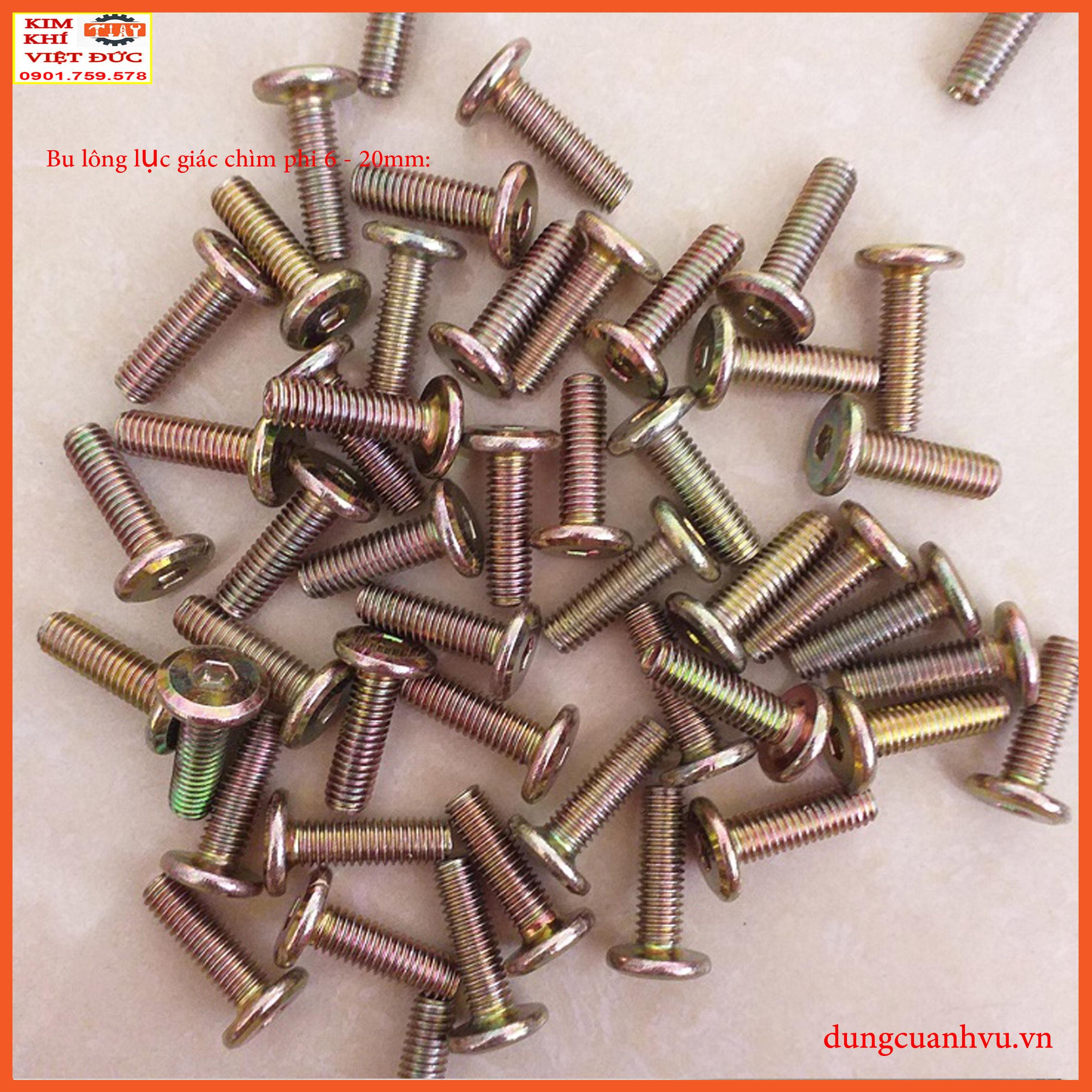 Bu lông lục giác chìm 6-20mm x 100 con