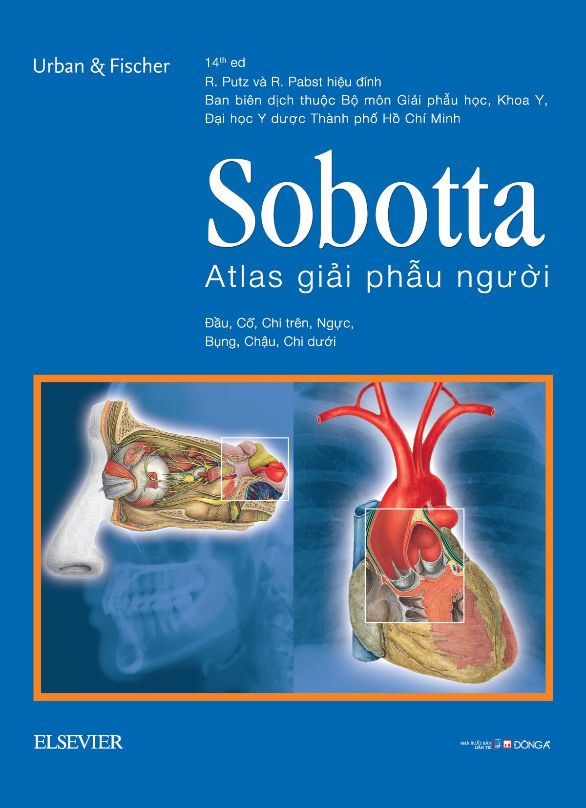 Cá Chép - Sobotta Atlas Giải Phẫu Người