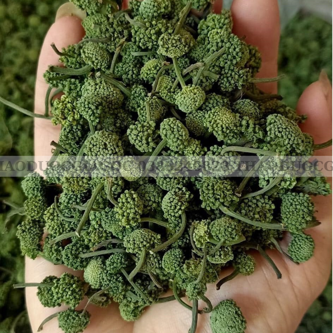 100gr nụ hoa tam thất bao tử( khô , thơm , sạch)