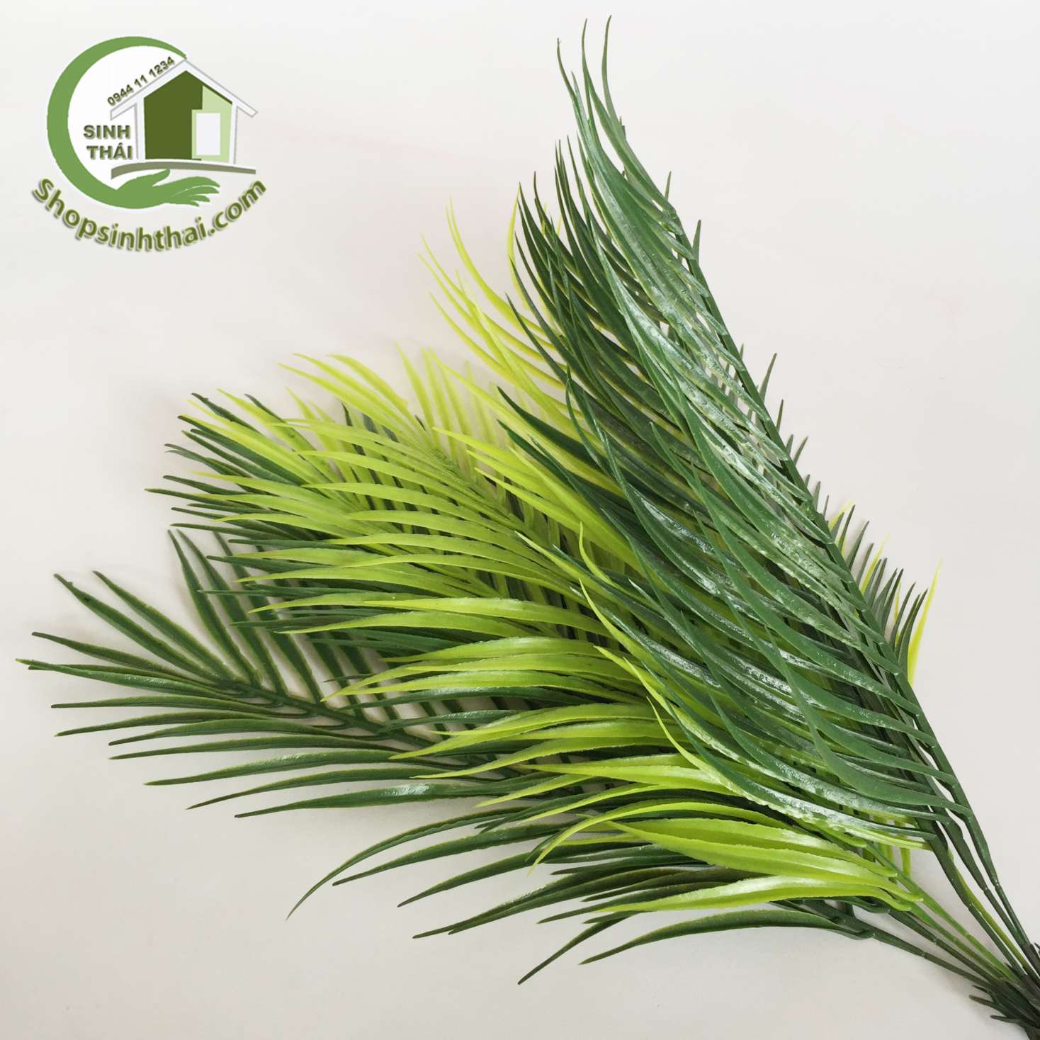 [HCM]Bụi cây dừa - bụi lá dừa giả cao 50cm
