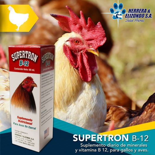 SUPERTRON Tăng lực dành cho gà đá 60ml