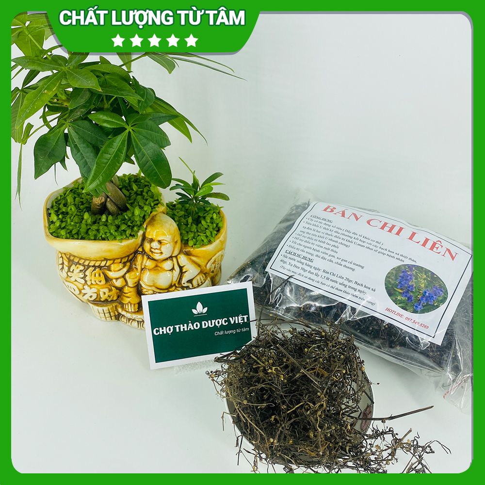 Bán chi liên khô 1kg, hỗ trợ phòng ngừa ung thư, tiêu u, giải độc, tốt cho sức khoẻ