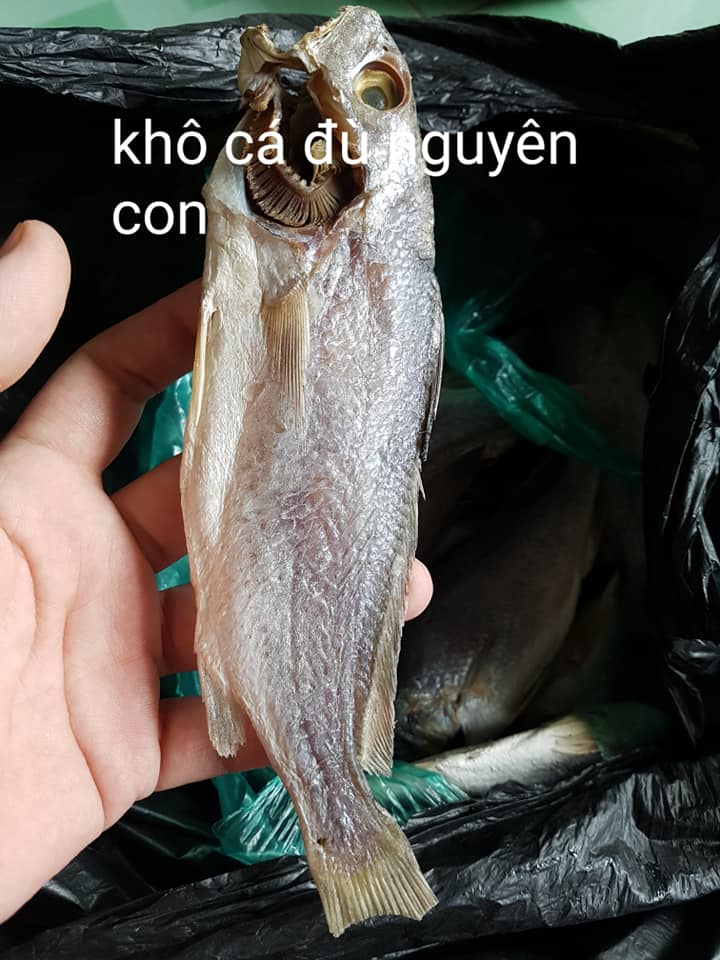 Khô cá lù đù mặn, ăn bắt cơm (Chiên, Chưng thịt..)