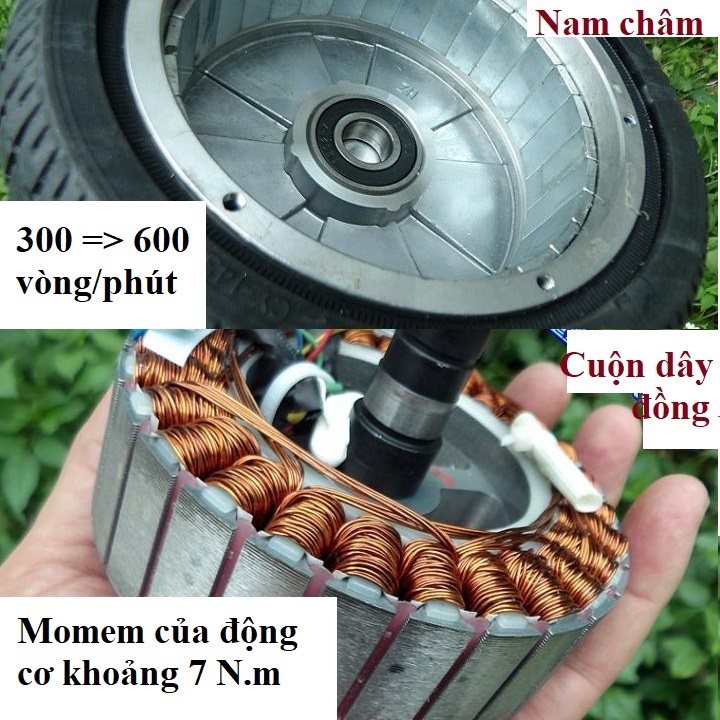 [HCM]Động cơ phát điện 36v-300w 60v-600w