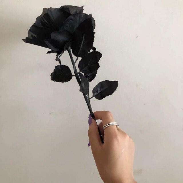 Bông hoa hồng đen toả sáng, đầy ấn tượng với những cánh hoa rộng mênh mông. Hãy để mình được lấn sân vào thế giới hoa hồng đen và cảm nhận trọn vẹn sự độc đáo và quyến rũ của những bông hoa hồng đen này.