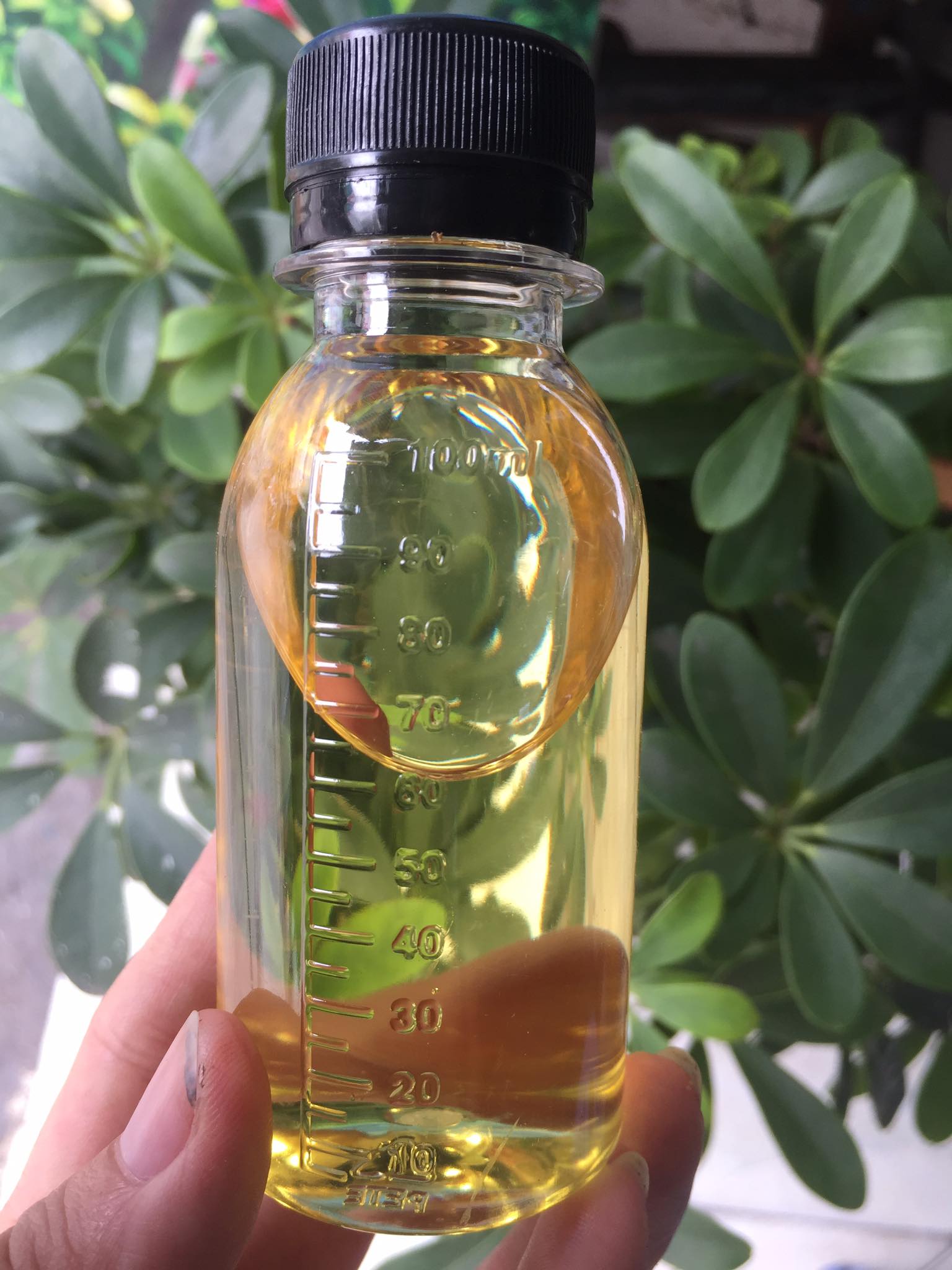 [HCM]Dầu lanh cho sơn dầu (100ml)
