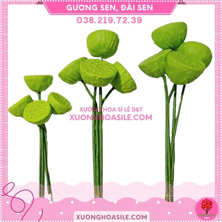[HCM]GƯƠNG SEN ĐÀI SEN
