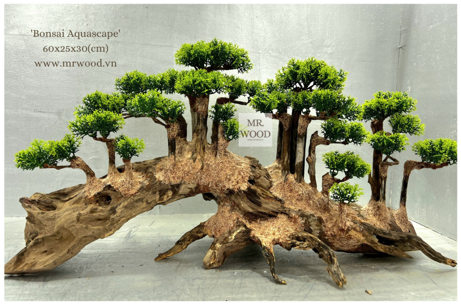 Layout Lũa Đồi Thông cho hồ thuỷ sinh 60cm- Xưởng Mr Wood