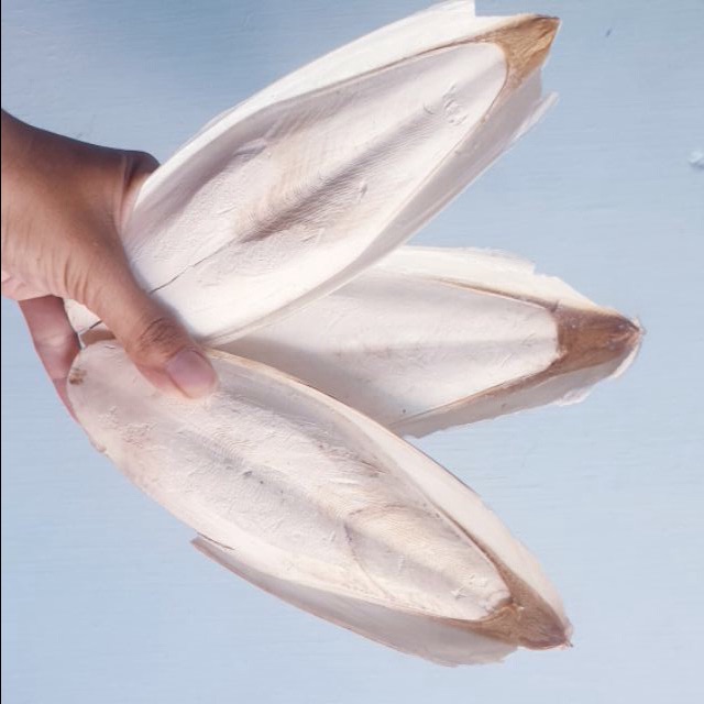 500g nan mực khô