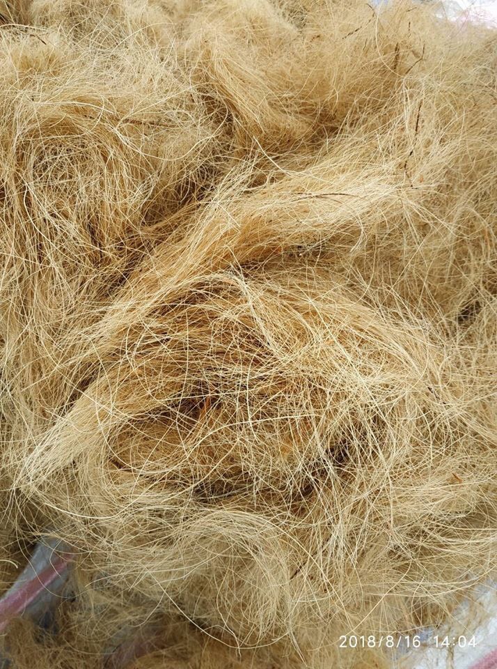 Xơ dừa chỉ trồng hoa lan 1kg