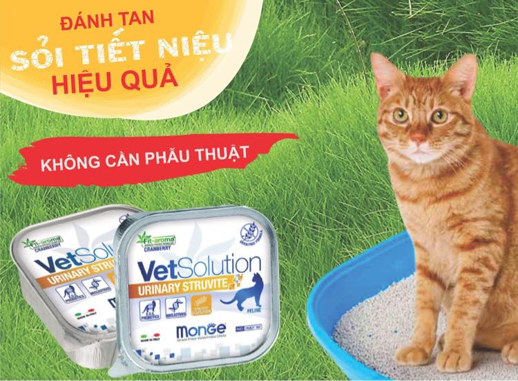 Pate MÈO Monge Vet Solution Chăm Sóc Sức Khỏe 100g