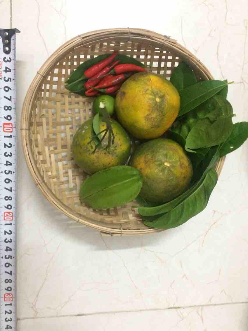 RỔ TRE 22cm