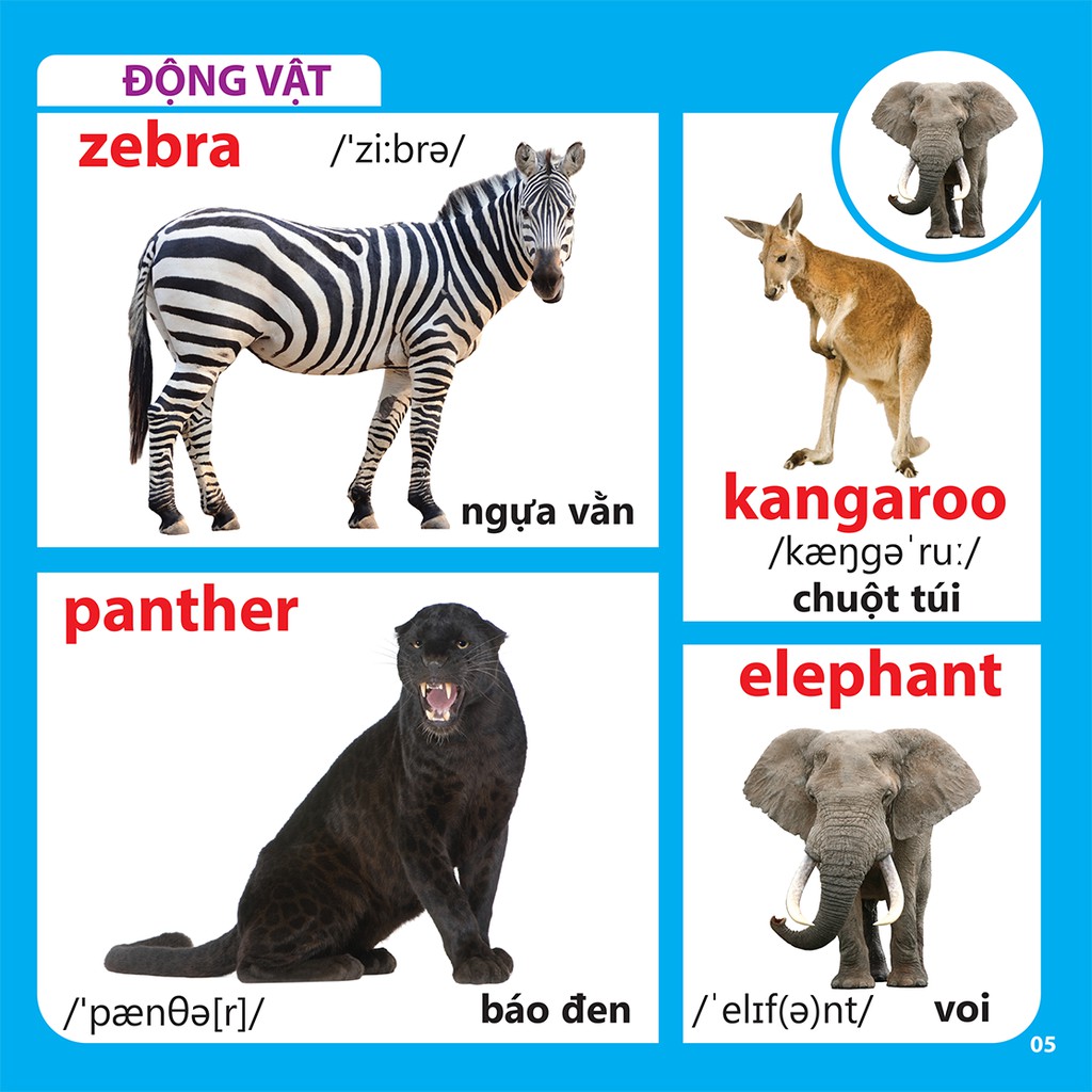 Sách - Bách Khoa Toàn Thư Cho Bé - Động Vật 46k (Tái Bản)