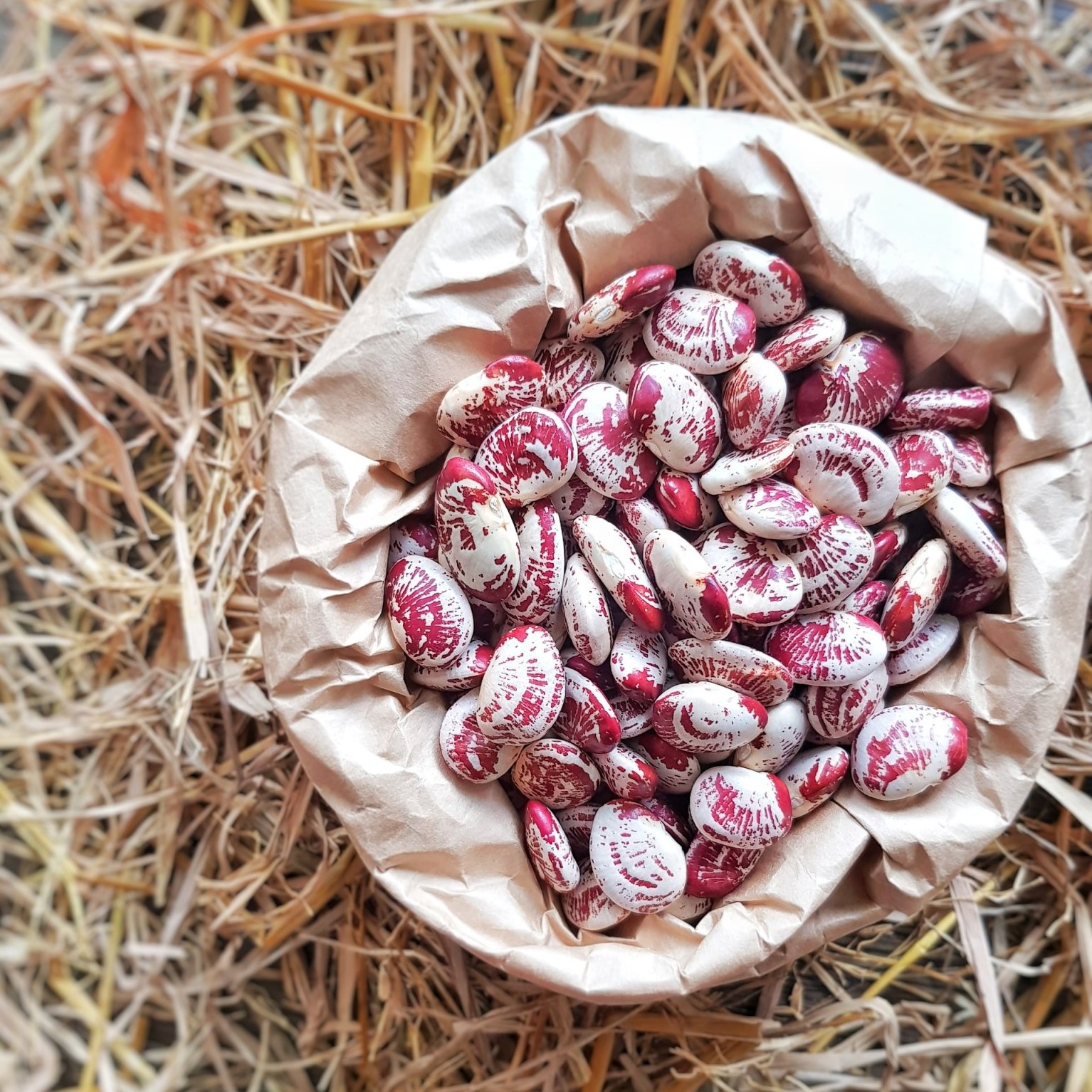 1kg ĐẬU NGỰ HẠT TO ĐỀU ĐẸP THƠM BỞ