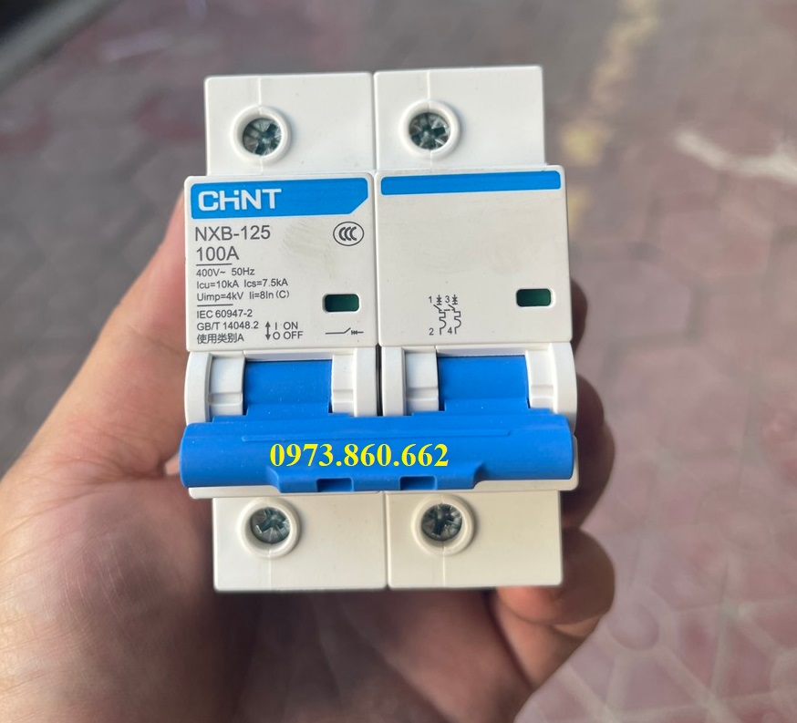 Aptomat CHINT NXB-125 C100A 2P 3P 4P 10kA - Át tép công suất lớn CHÍNH HÃNG