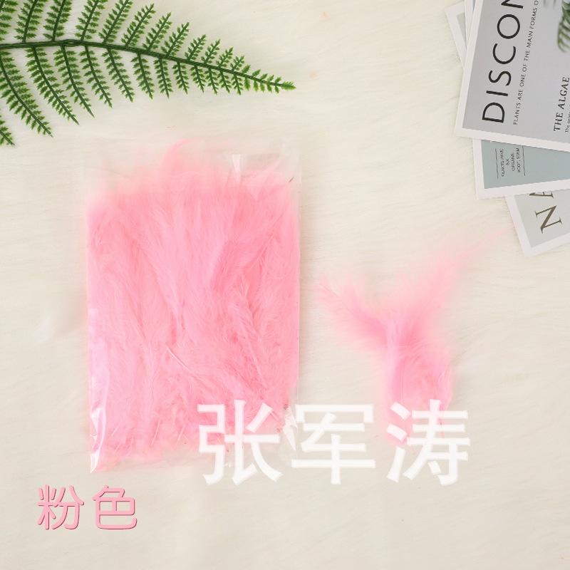 Túi 100 lông vũ trang trí tiệc