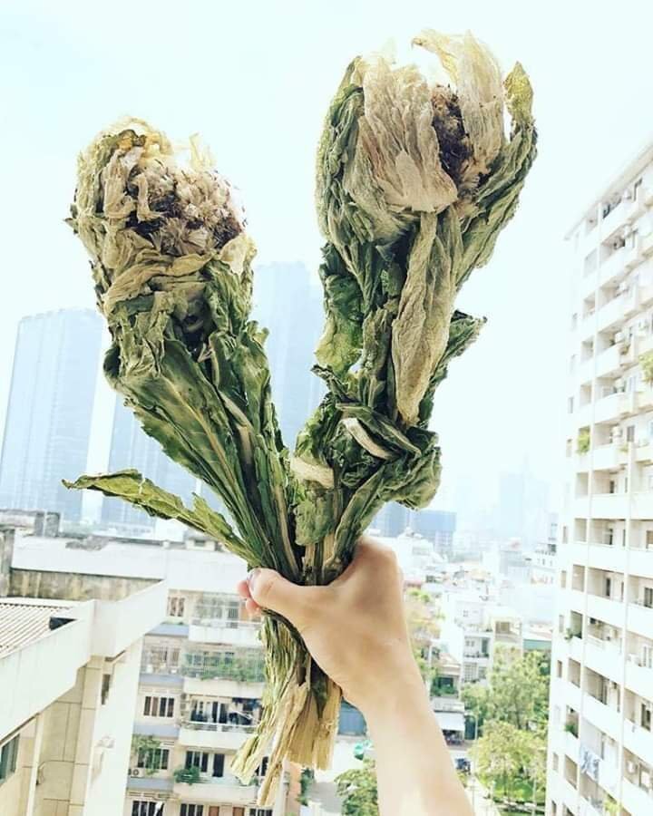 Thiên Sơn Tuyết Liên Hoa
