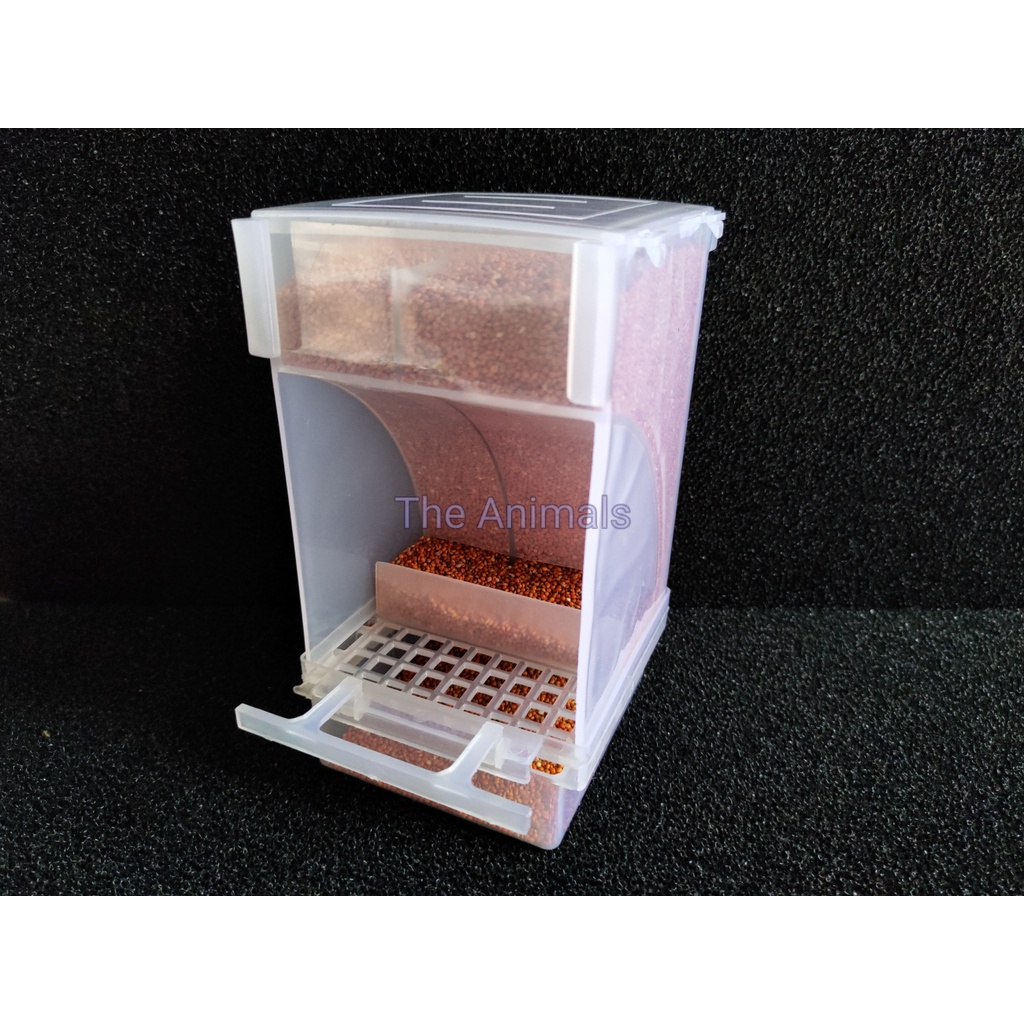 Hộp đựng thức ăn tự động cho chim cảnh