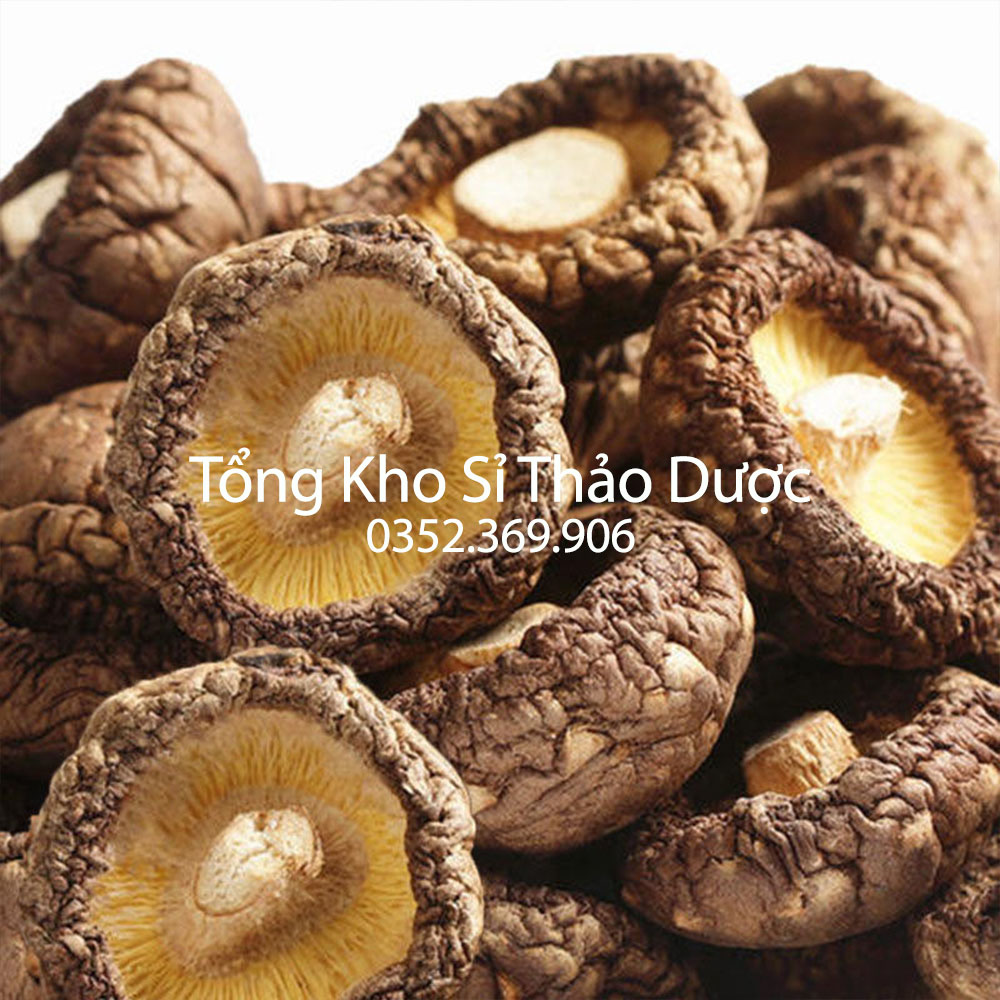 Nấm hương 10g (Nấm quý nấu canh, lẩu nấm, nấm dưỡng sinh. phục hồi sức khỏe)
