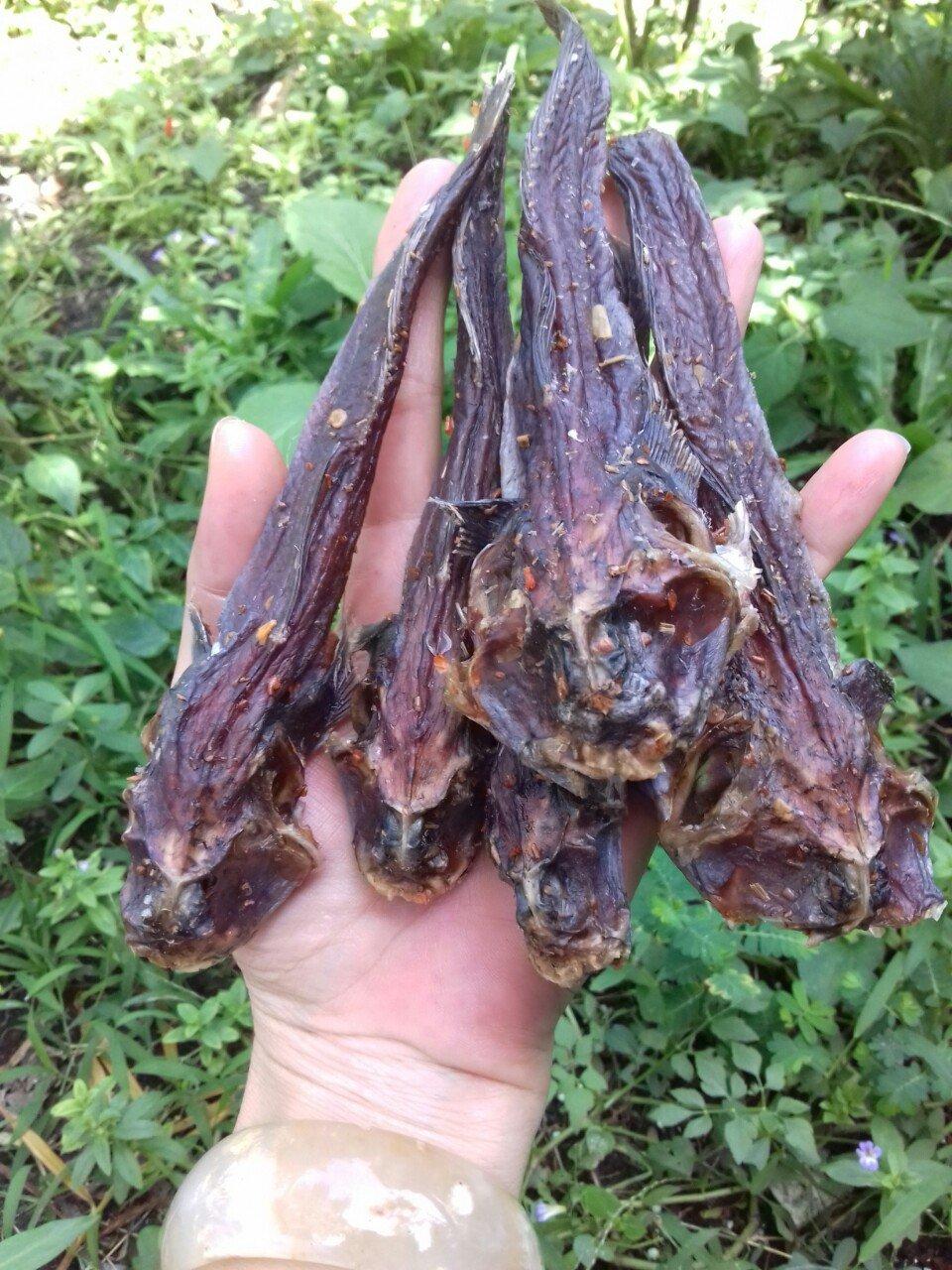 KHÔ CÁ THÒI LÒI