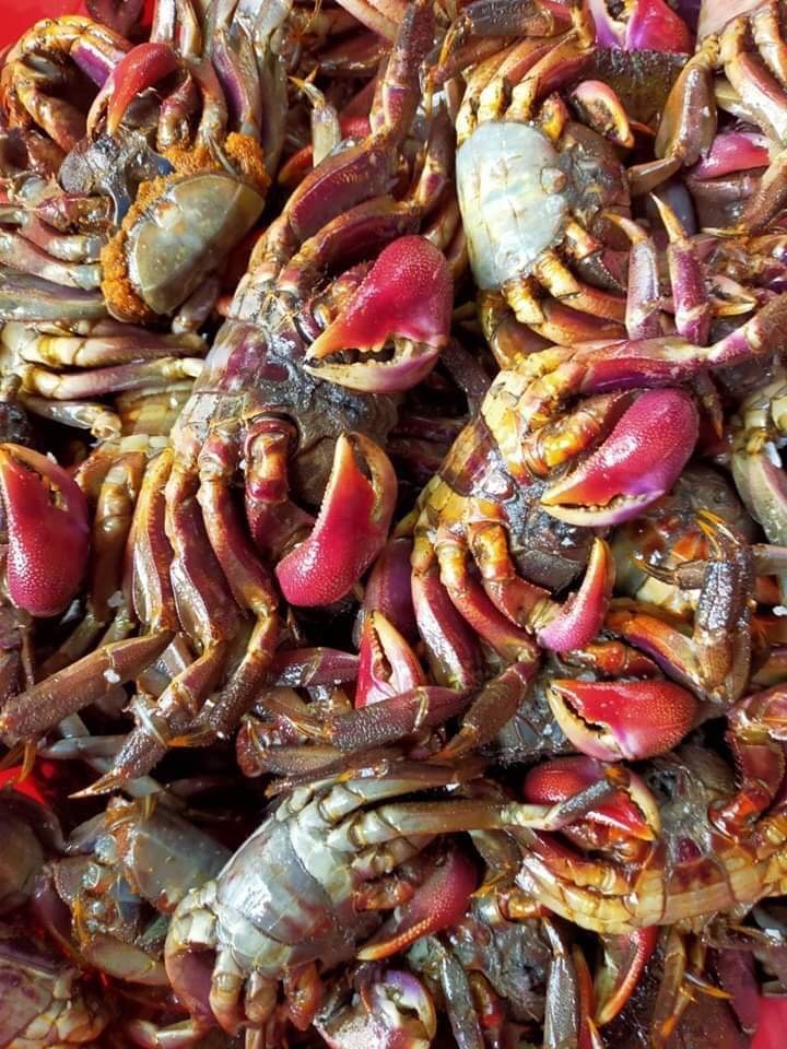 Ba khía muối loại vừa